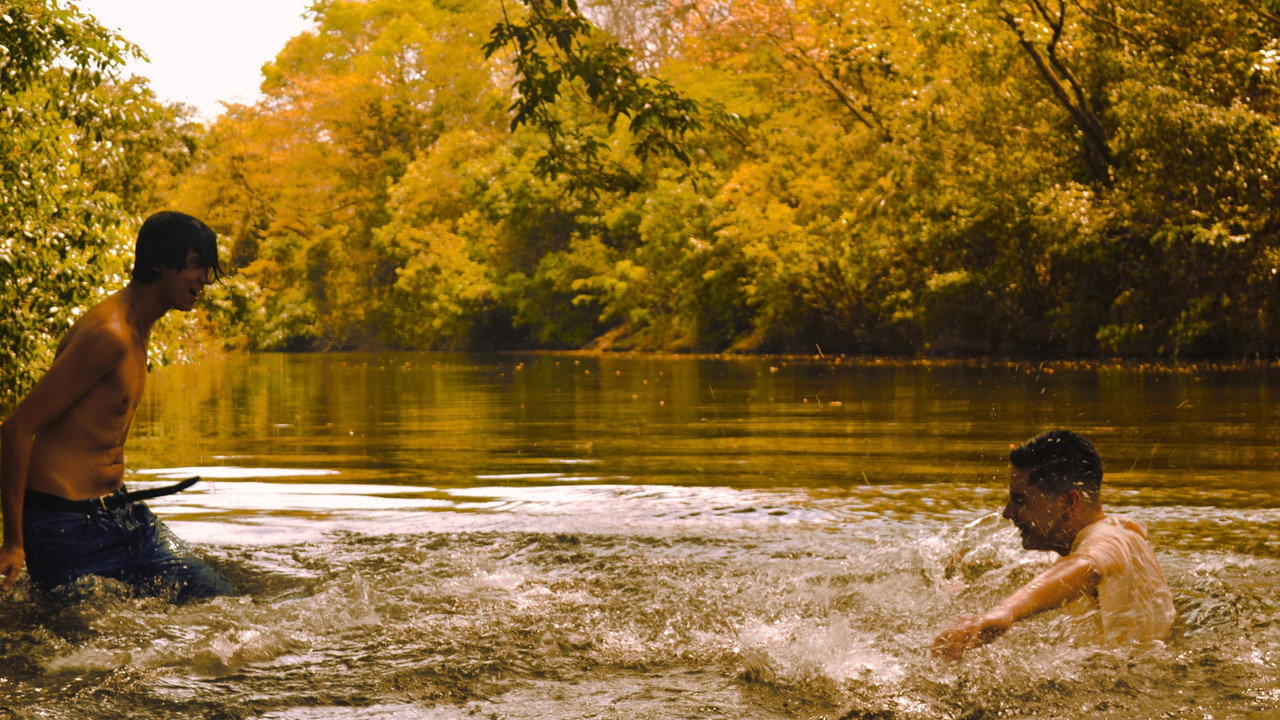 Sol de Setembro backdrop