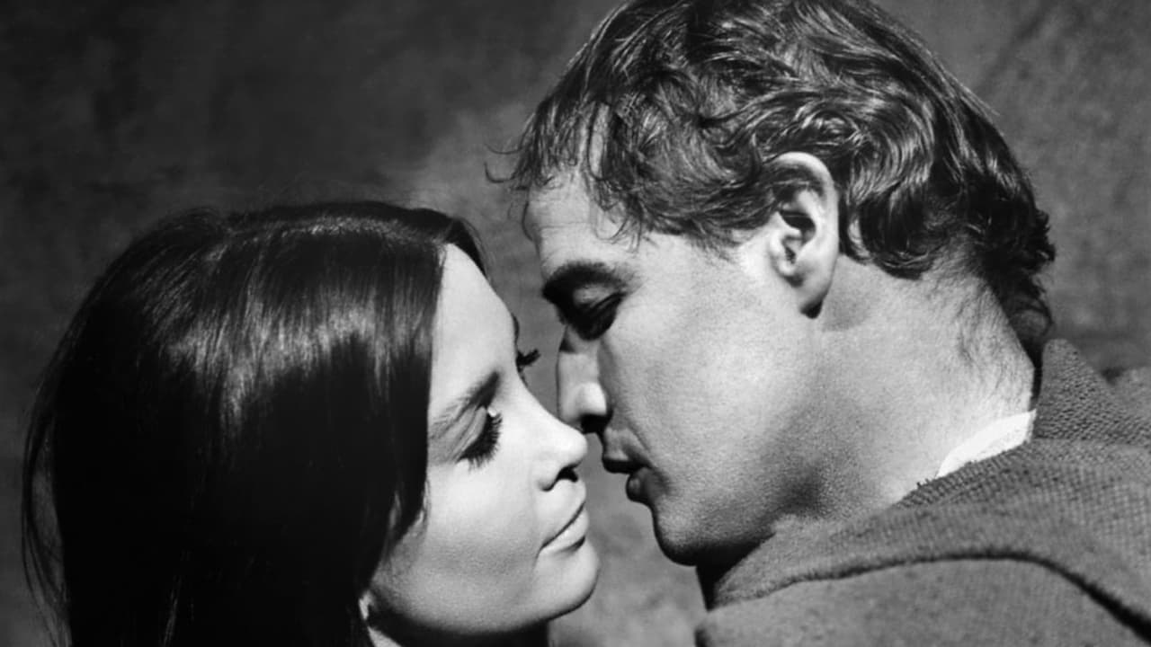 The Appaloosa backdrop