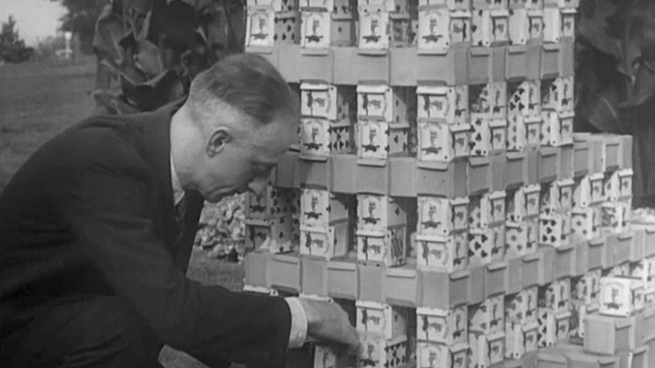 Believe It or Not (Second Series) #2 backdrop