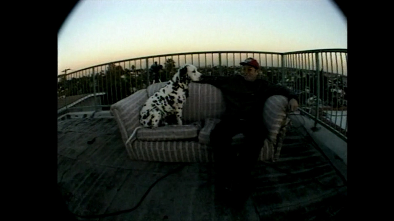 Sublime | Stories, Tales, Lies & Exaggerations backdrop