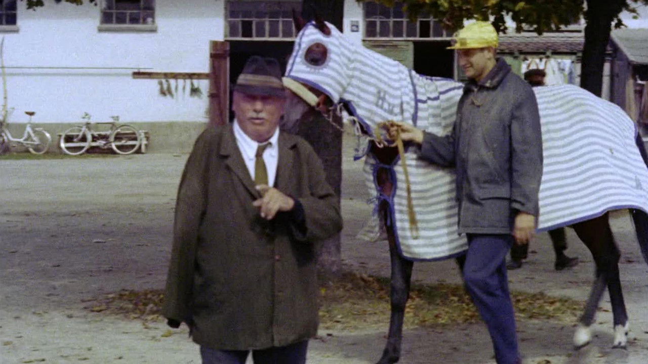 Precautions Against Fanatics backdrop