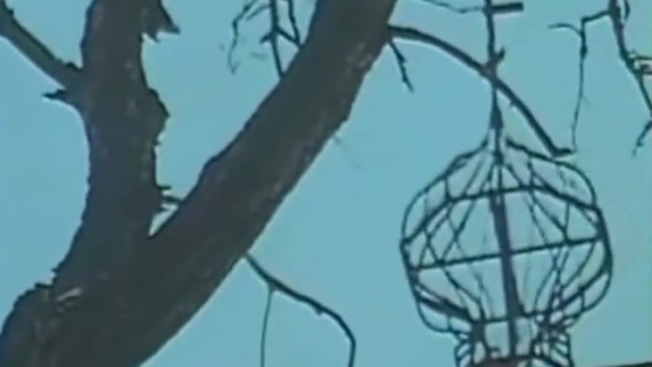 The Cimmerian Hermit backdrop