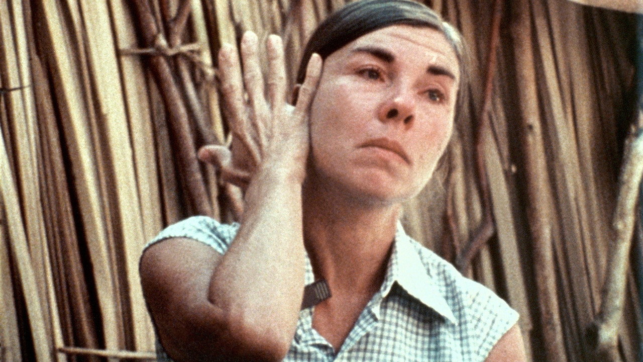 Les Révolutionnaires du Tchad backdrop