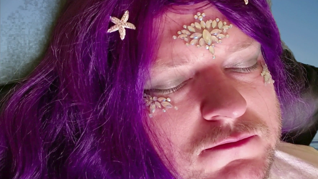 The Fishnet Hypothesis backdrop