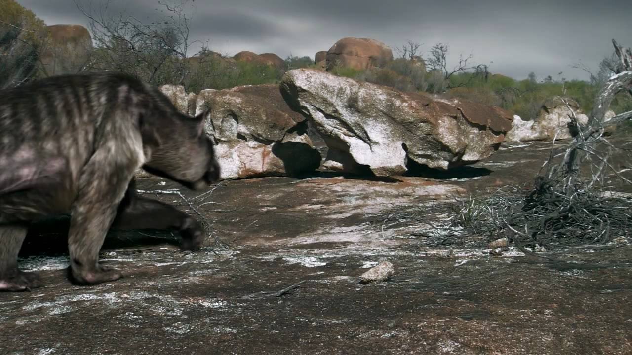 Death of the Megabeasts backdrop