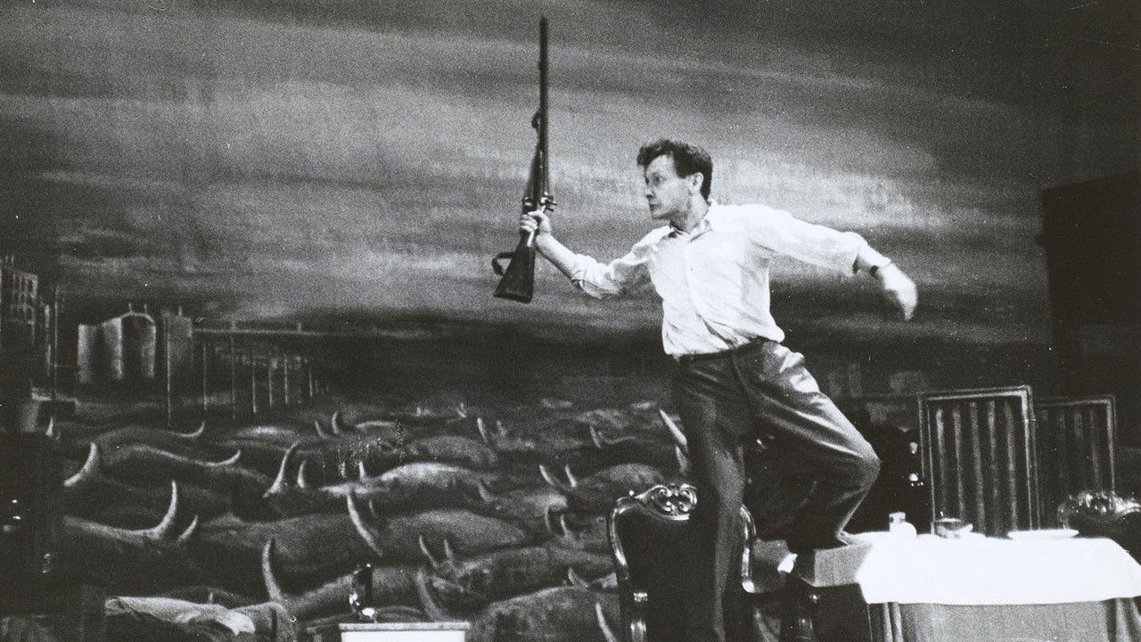 Rhinocéros backdrop