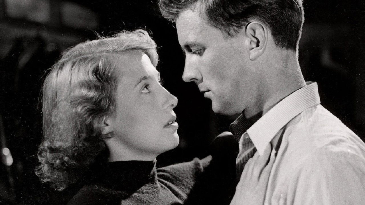 Dei svarte hestane backdrop