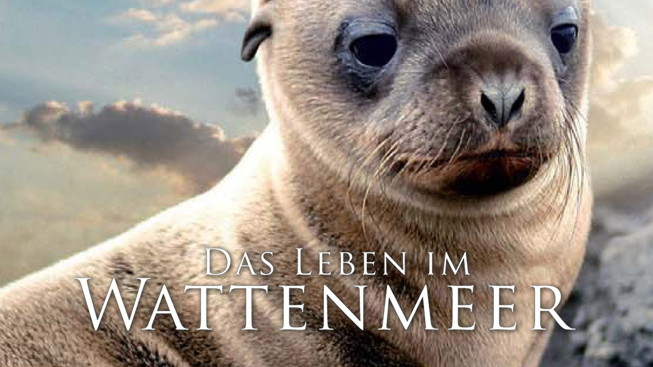 Life in Ebb and Flow backdrop