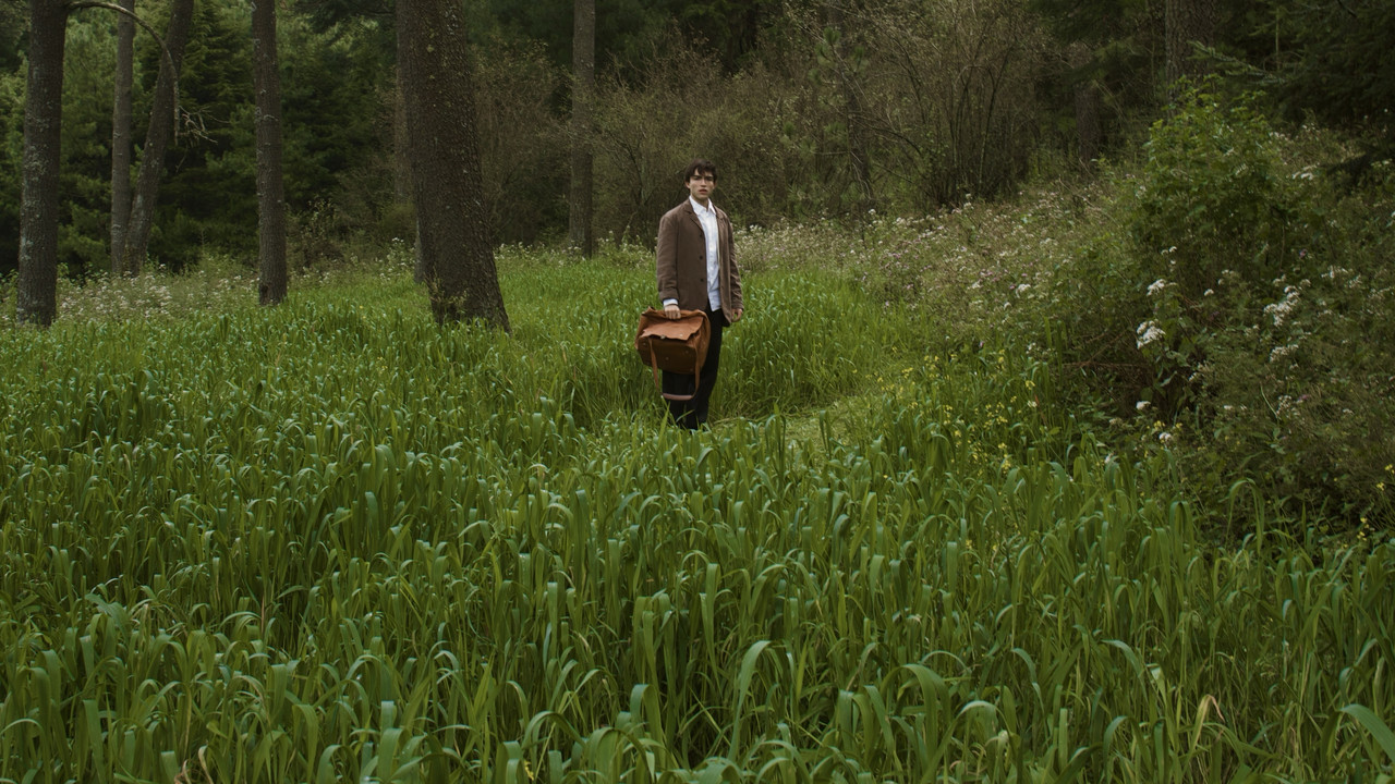 Para atrapar el viento backdrop