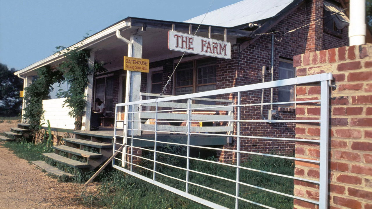 American Commune backdrop