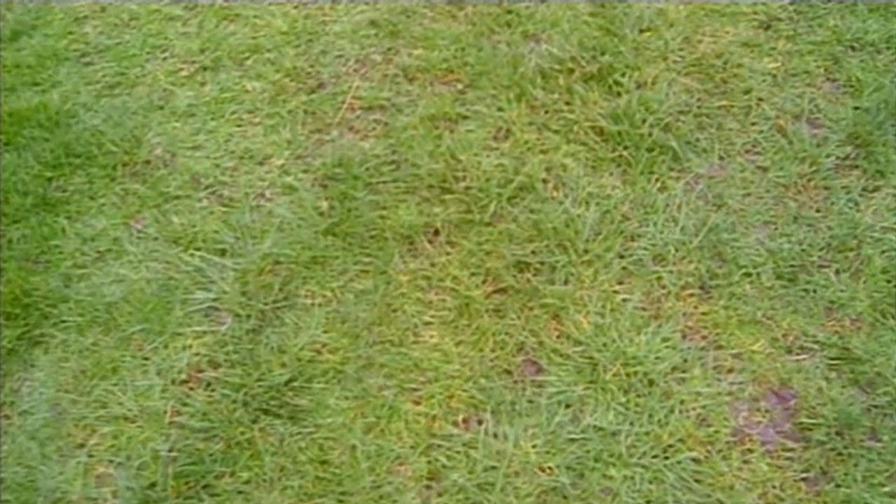 Do You Remember the First Time? backdrop