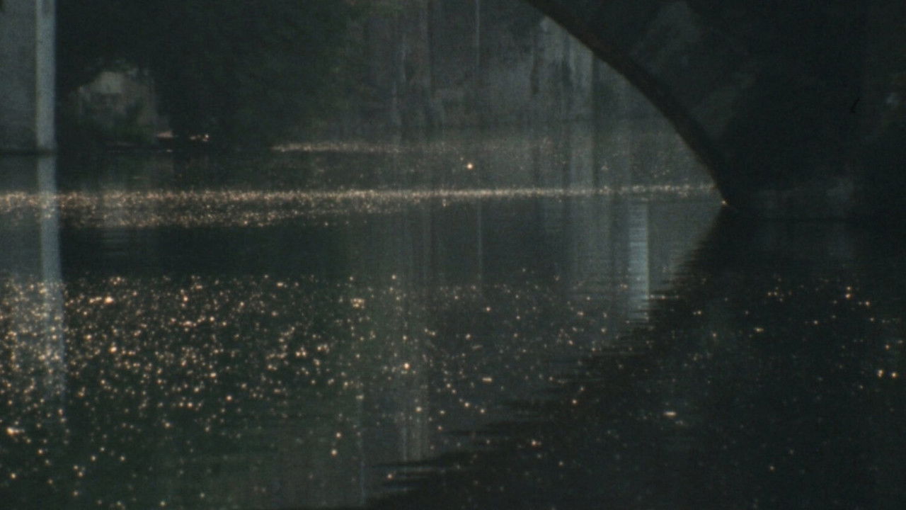 Bruges-La-Morte backdrop