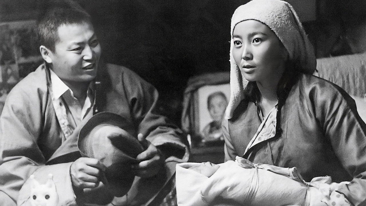 Umbilical Cord backdrop