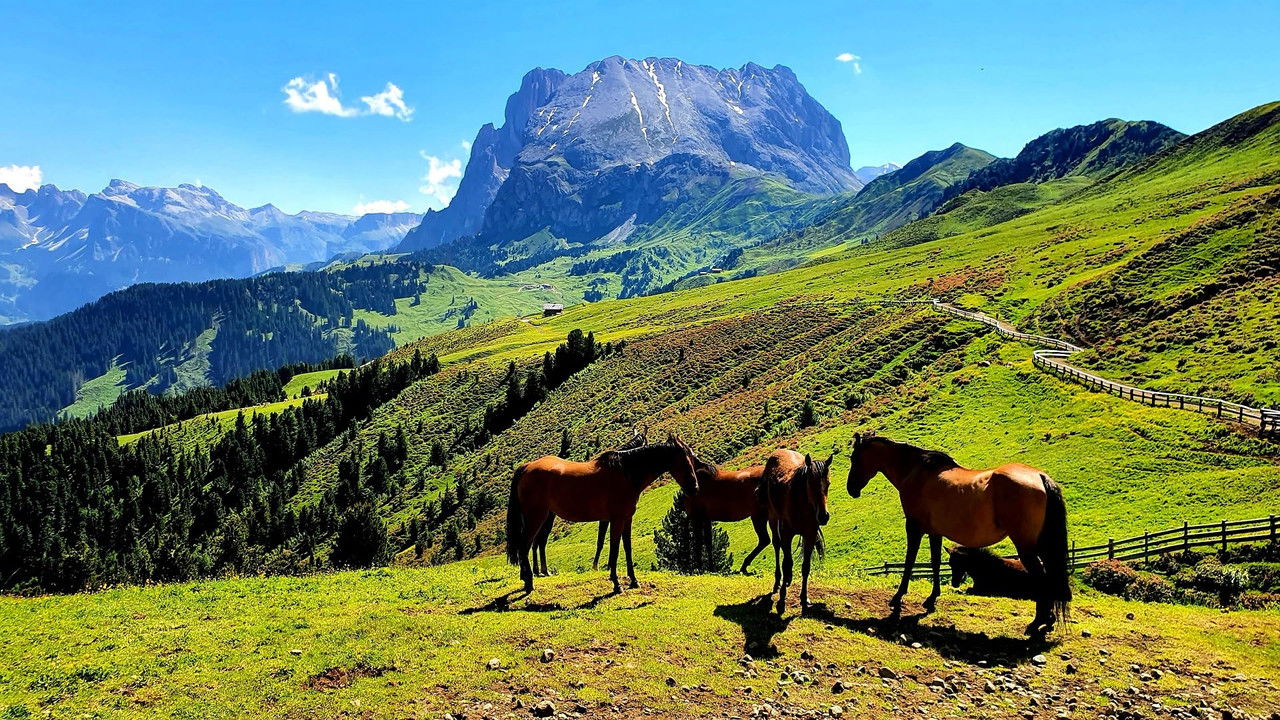 La Grande Bellezza - Vite segrete e luoghi nascosti d'Italia backdrop