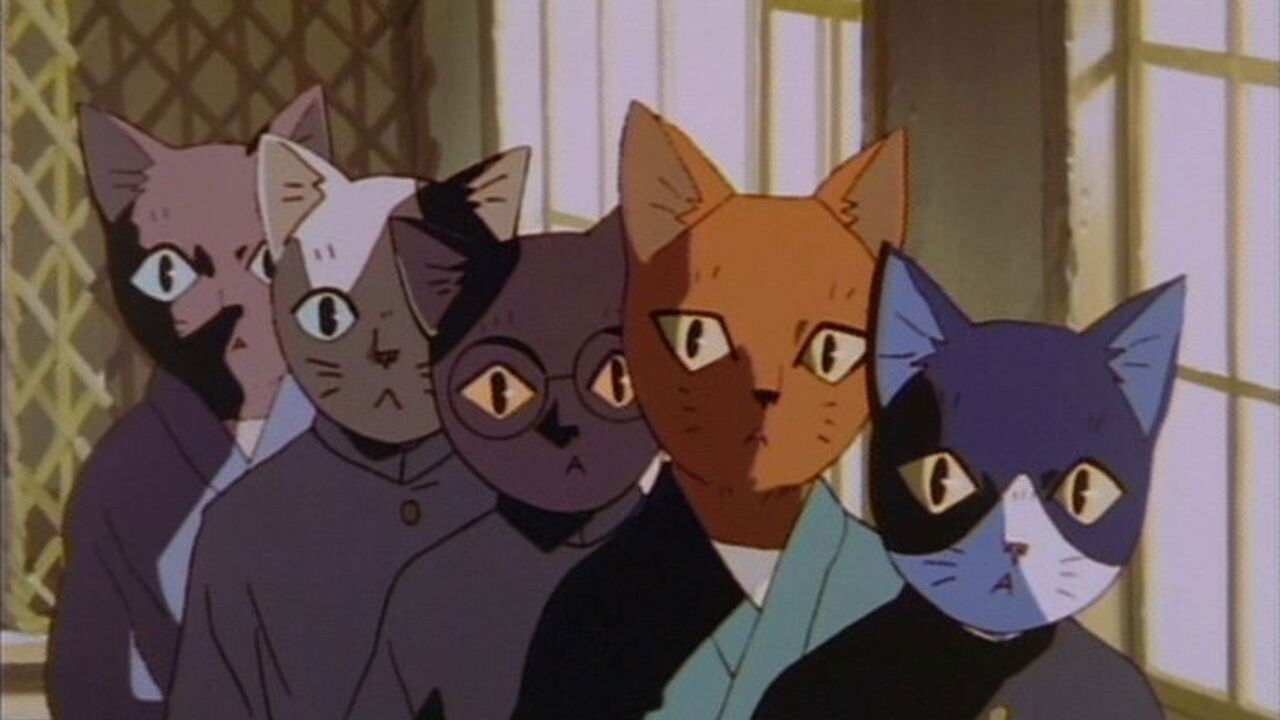 Spring and Chaos backdrop