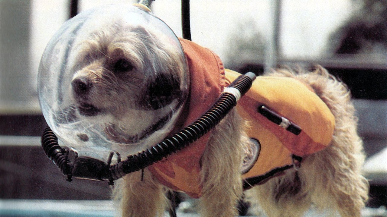 Benji at Marineland backdrop