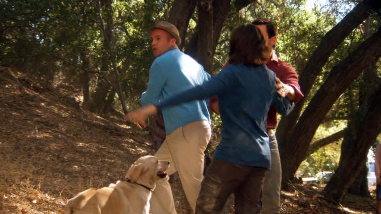 The Gold Retrievers backdrop