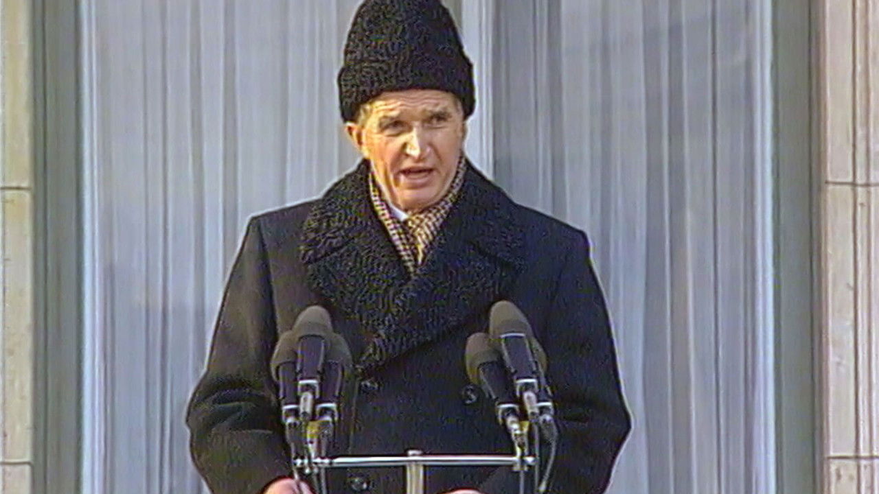 Videograms of a Revolution backdrop