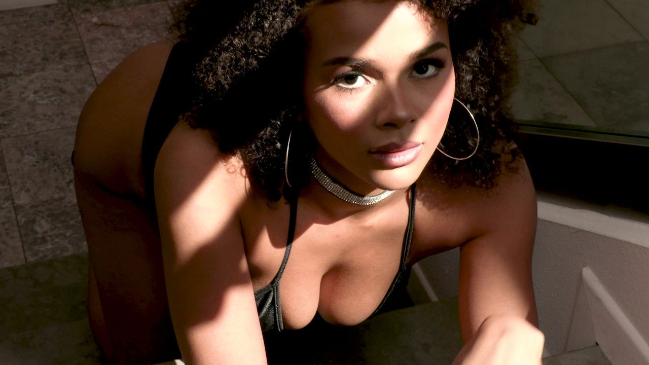 Black Beauties 3 backdrop