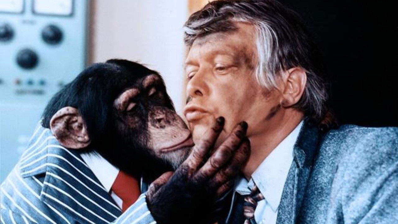 Meine Tochter - Deine Tochter backdrop