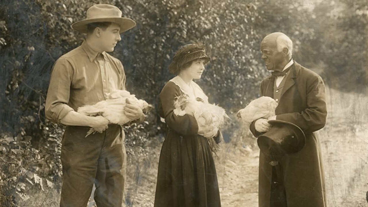 Little Miss Hoover backdrop