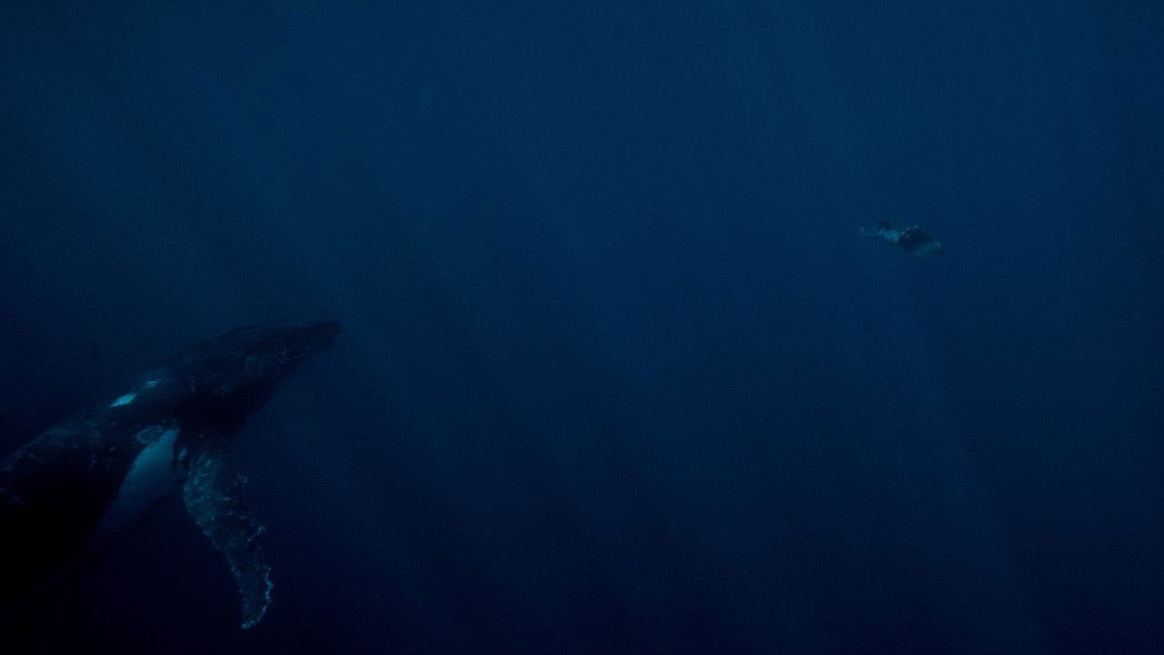 Living on the Threshold backdrop