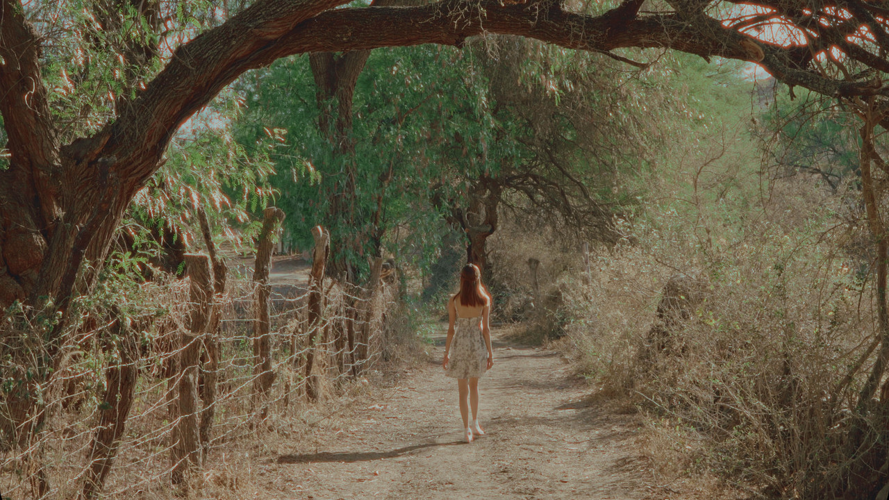 Emotional Landscapes backdrop