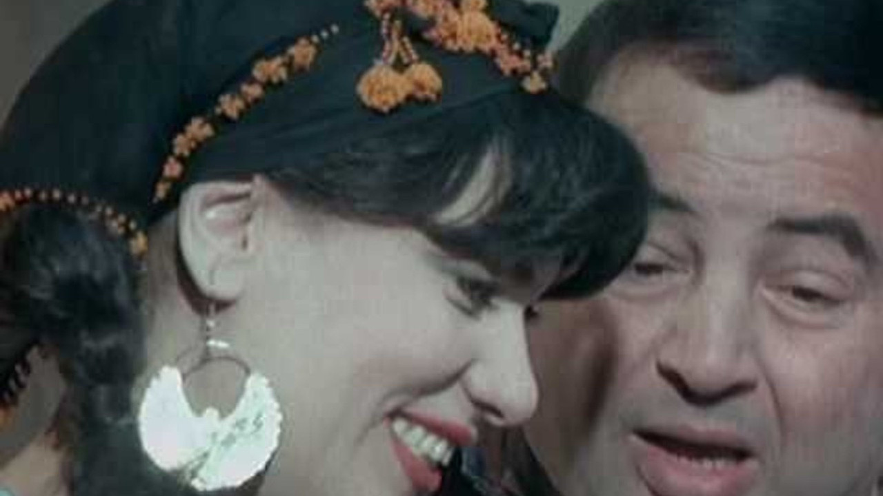 Mister Dollar backdrop