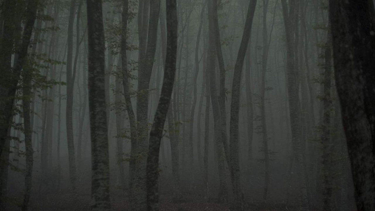 Refuge II: The Ice Path backdrop