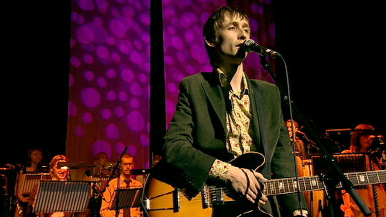 The Divine Comedy Live at the Palladium backdrop