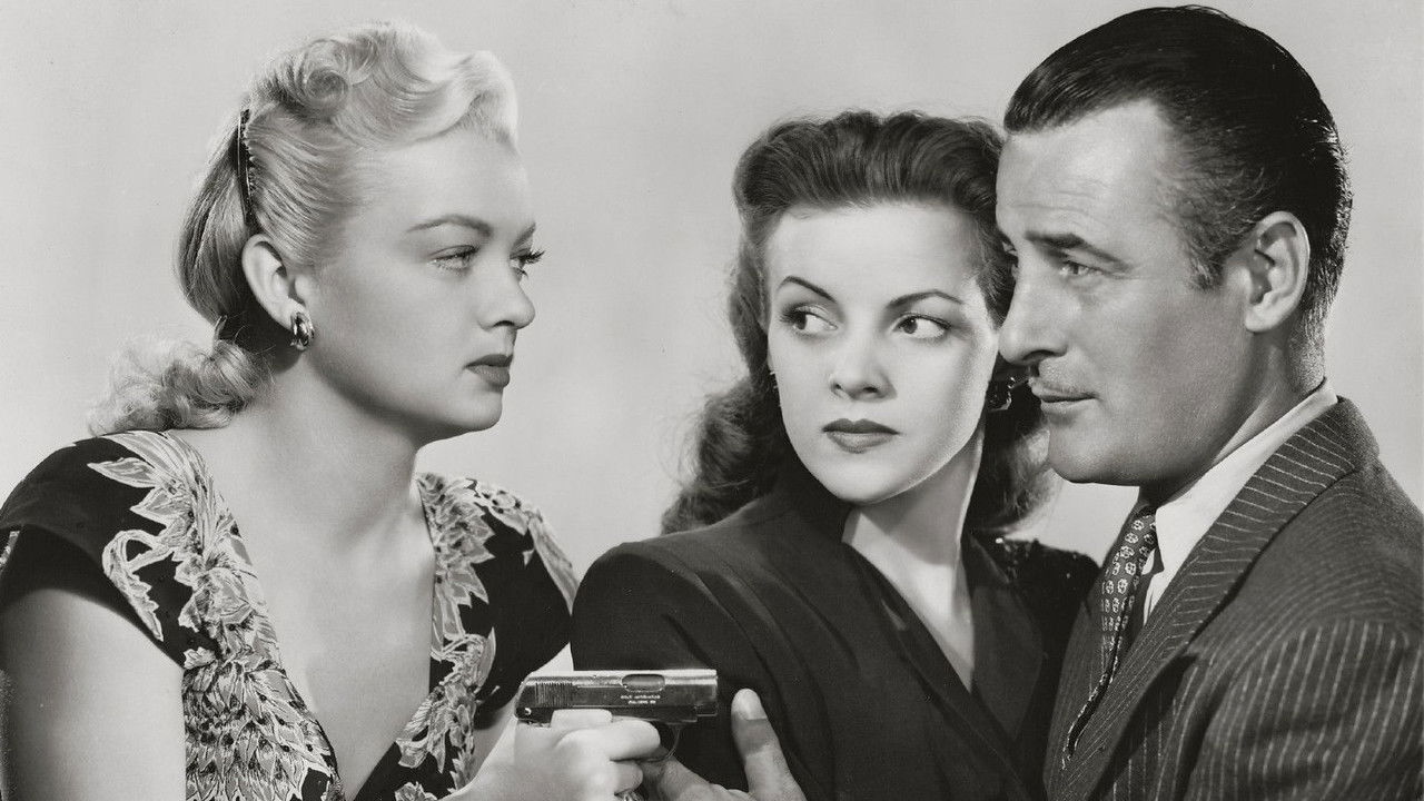 The Falcon's Adventure backdrop