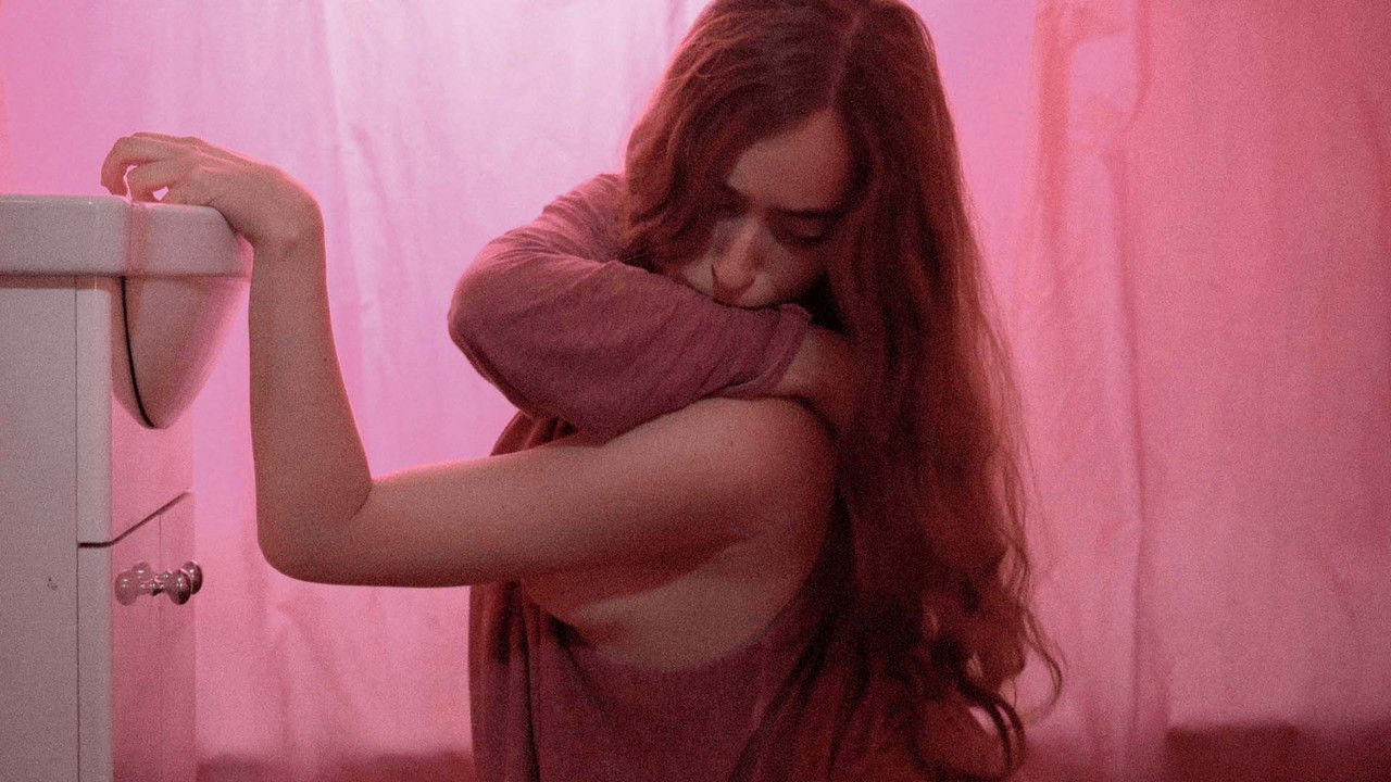 Ave de Presa backdrop