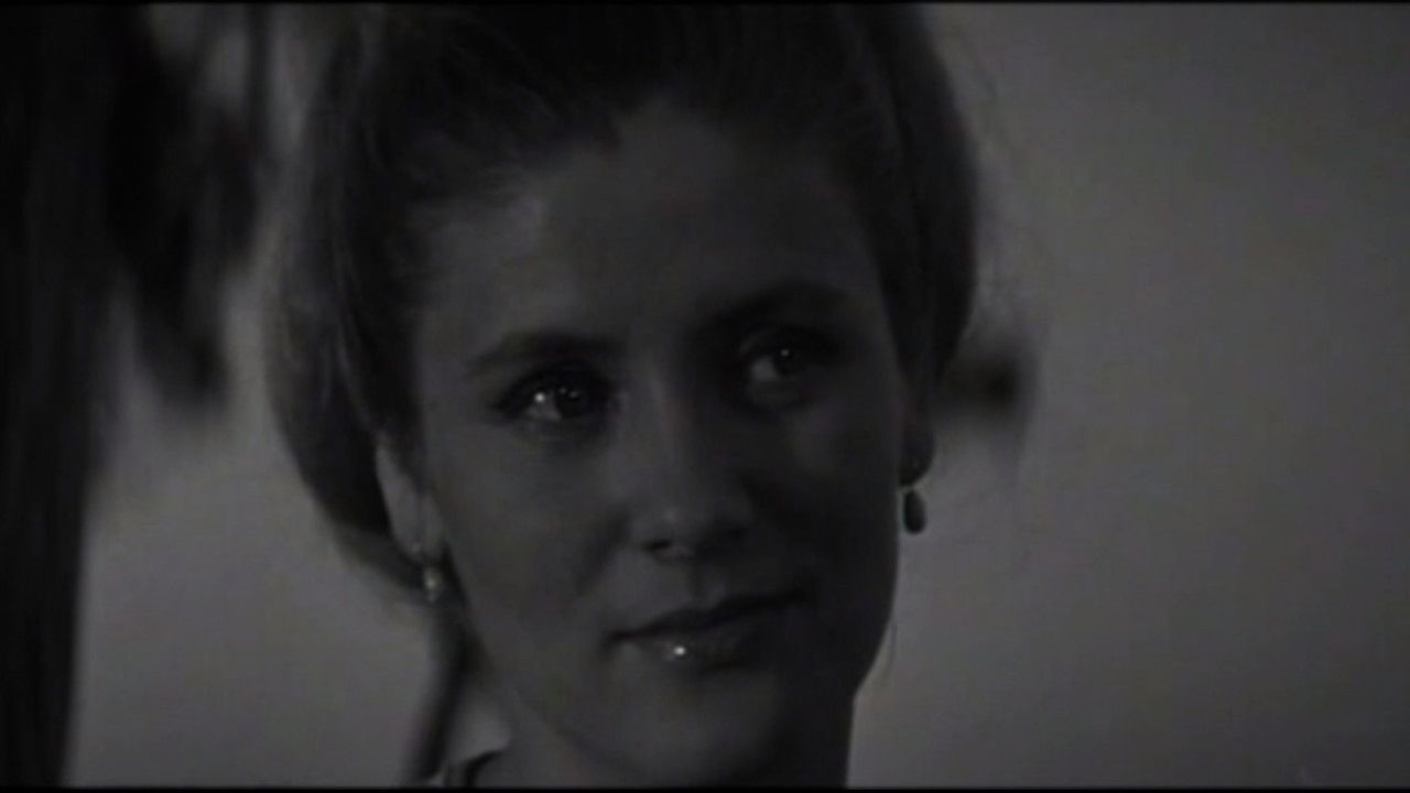 Wedding Day backdrop