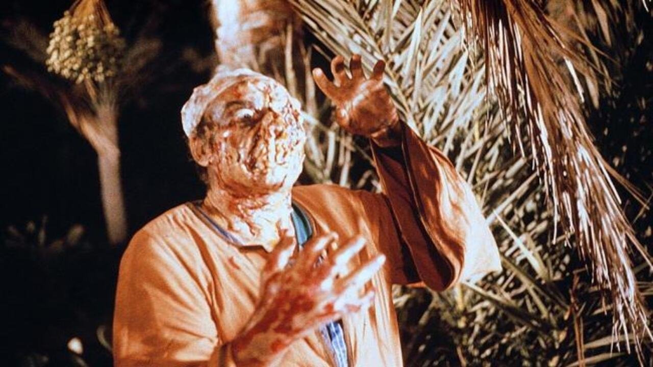 Dawn of the Mummy backdrop