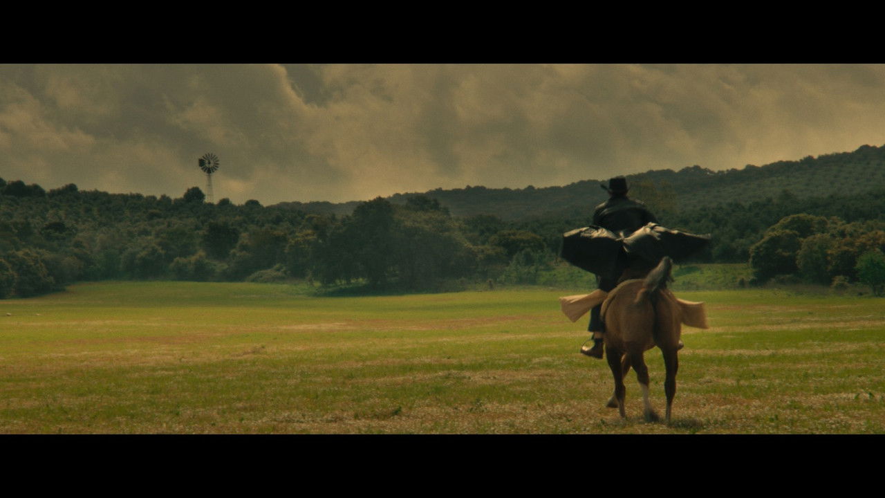 Portuguese Joe backdrop