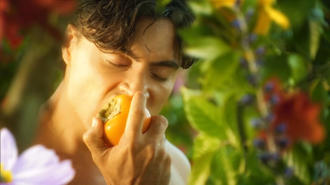 A Criação backdrop