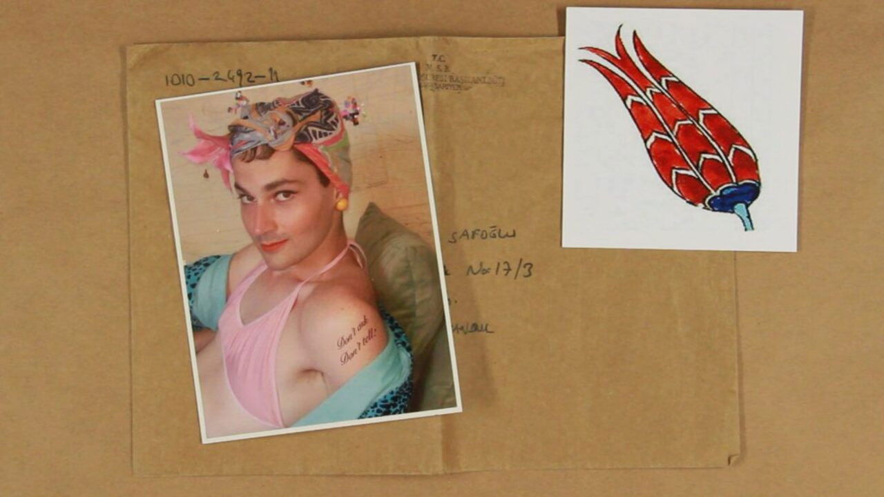 Off-White Tulips backdrop