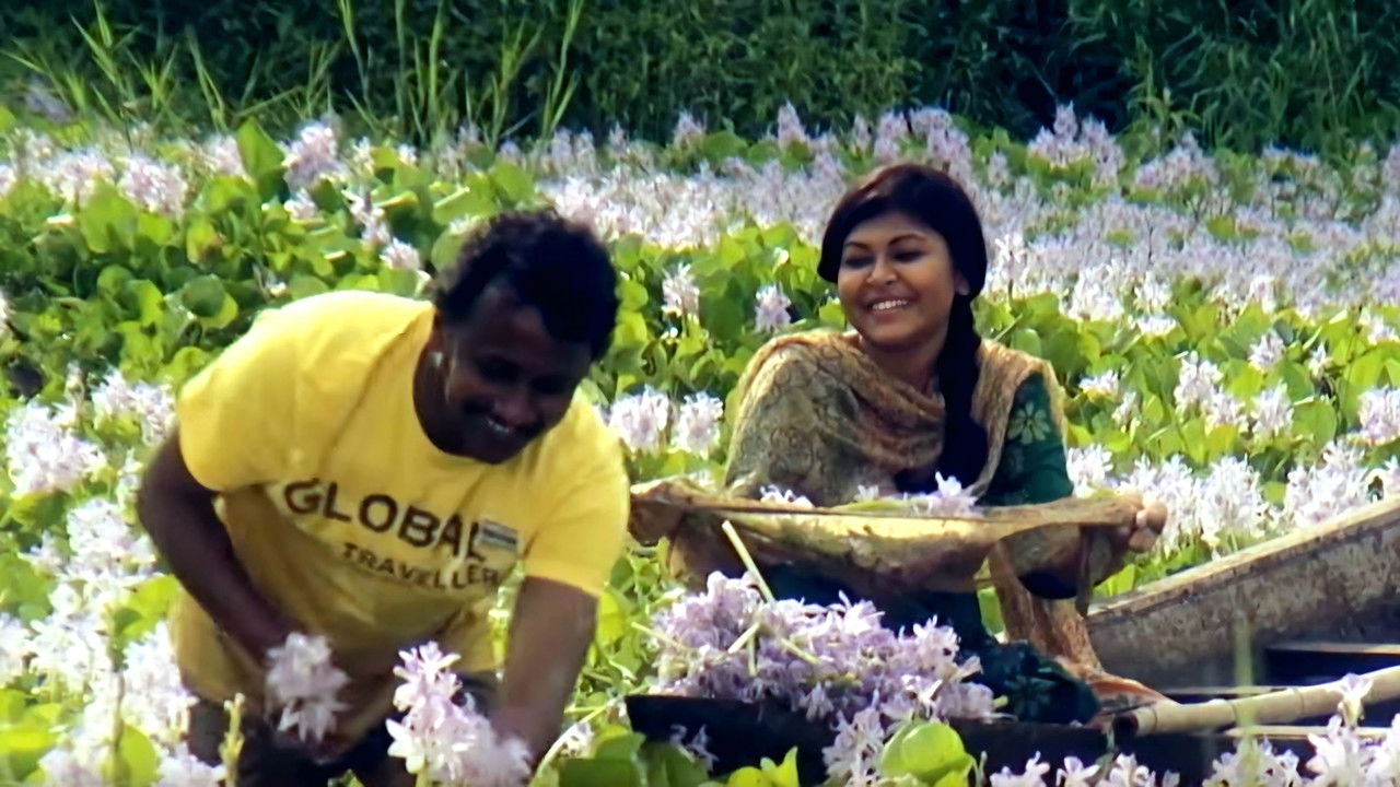 The Director backdrop