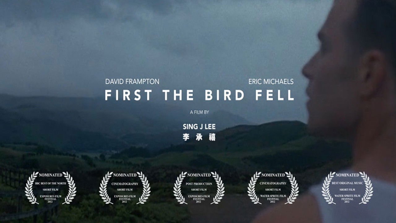 First the Bird Fell backdrop