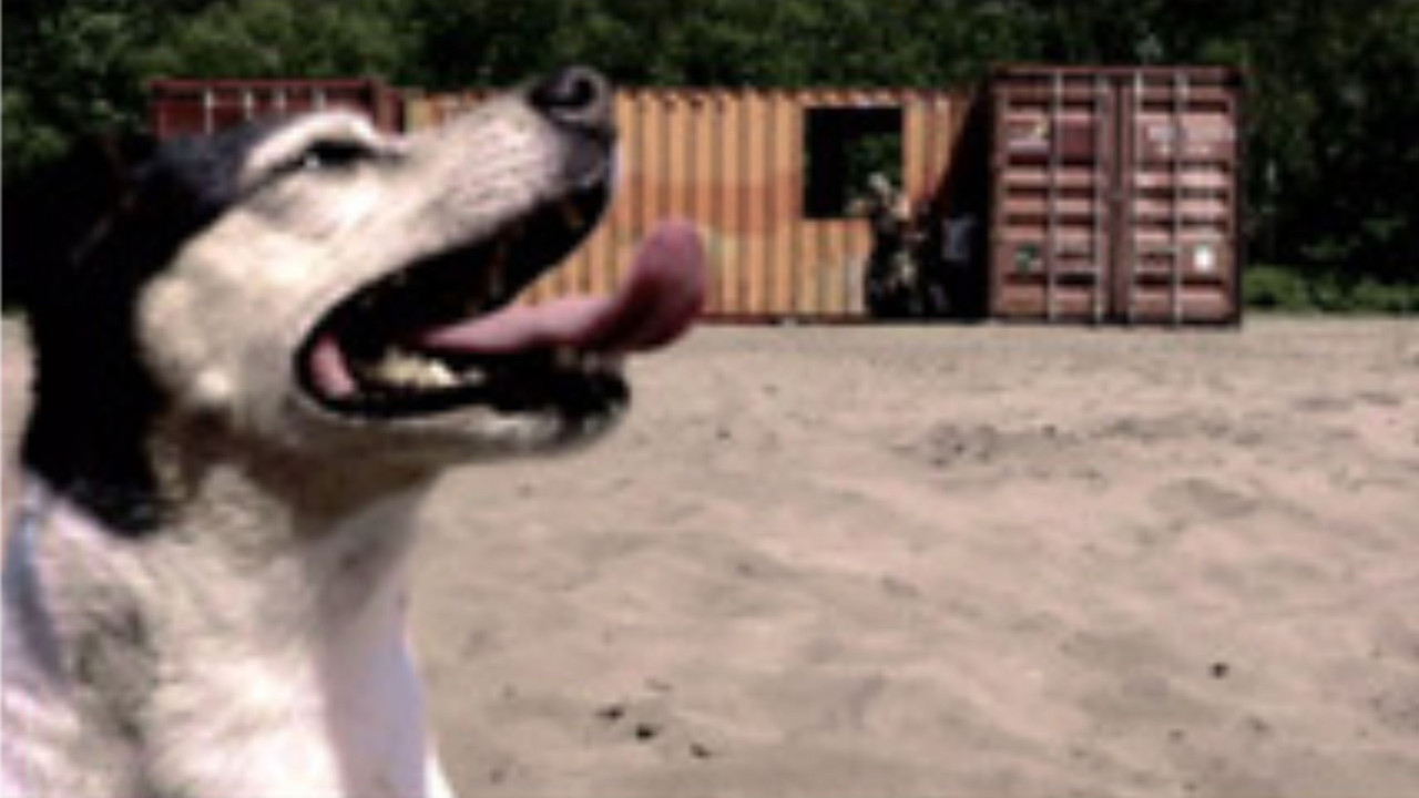 De oorlogshond backdrop