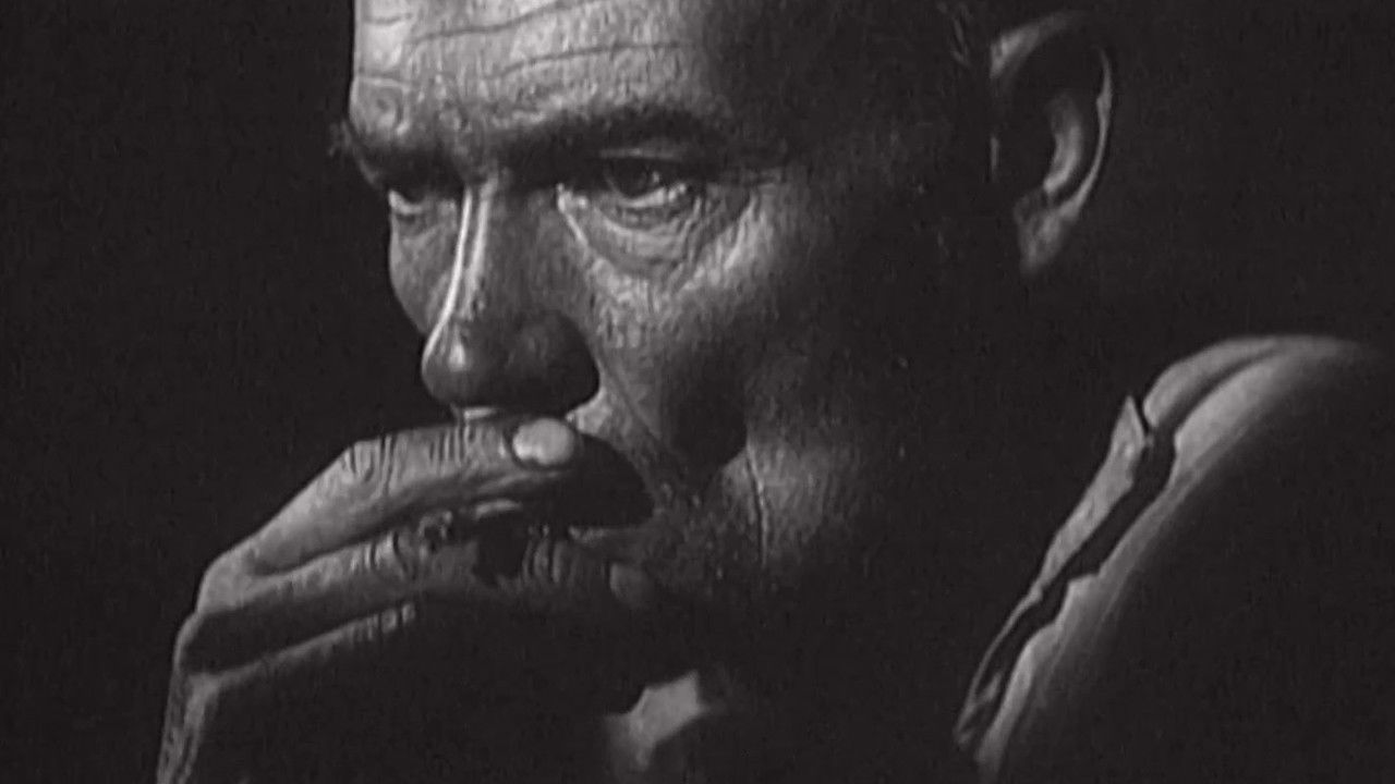 Night Raids backdrop