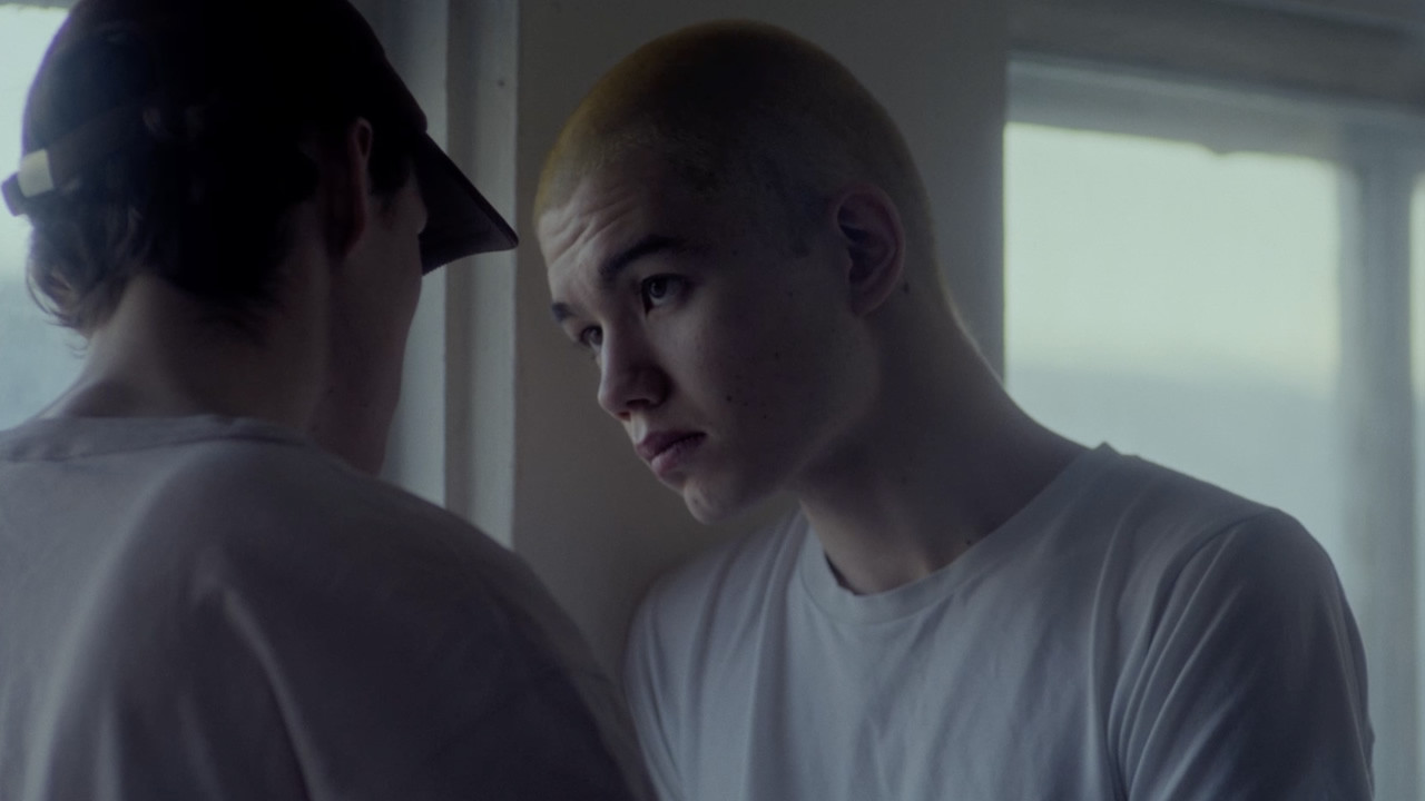 Bull's Heart backdrop