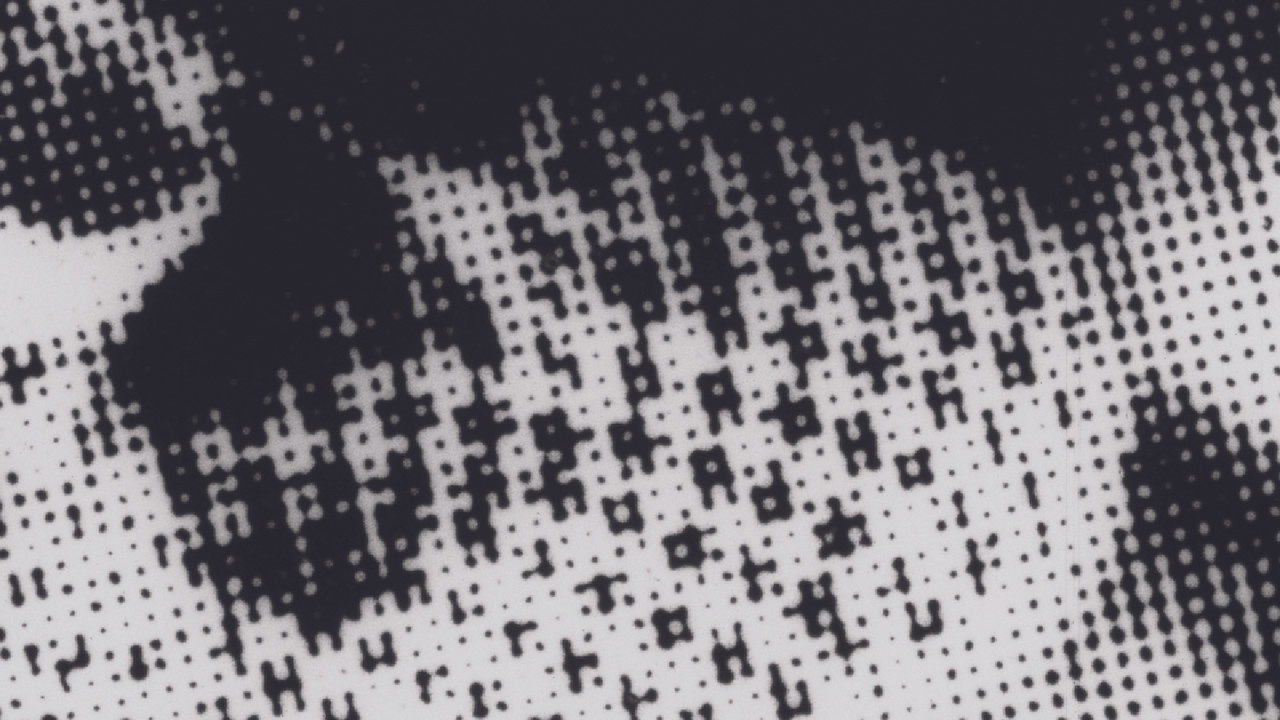 Just Sprouts backdrop