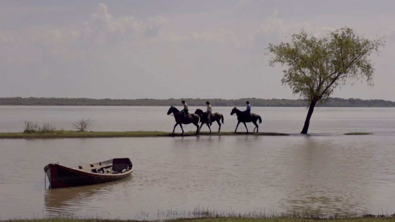 Memory Exercises backdrop