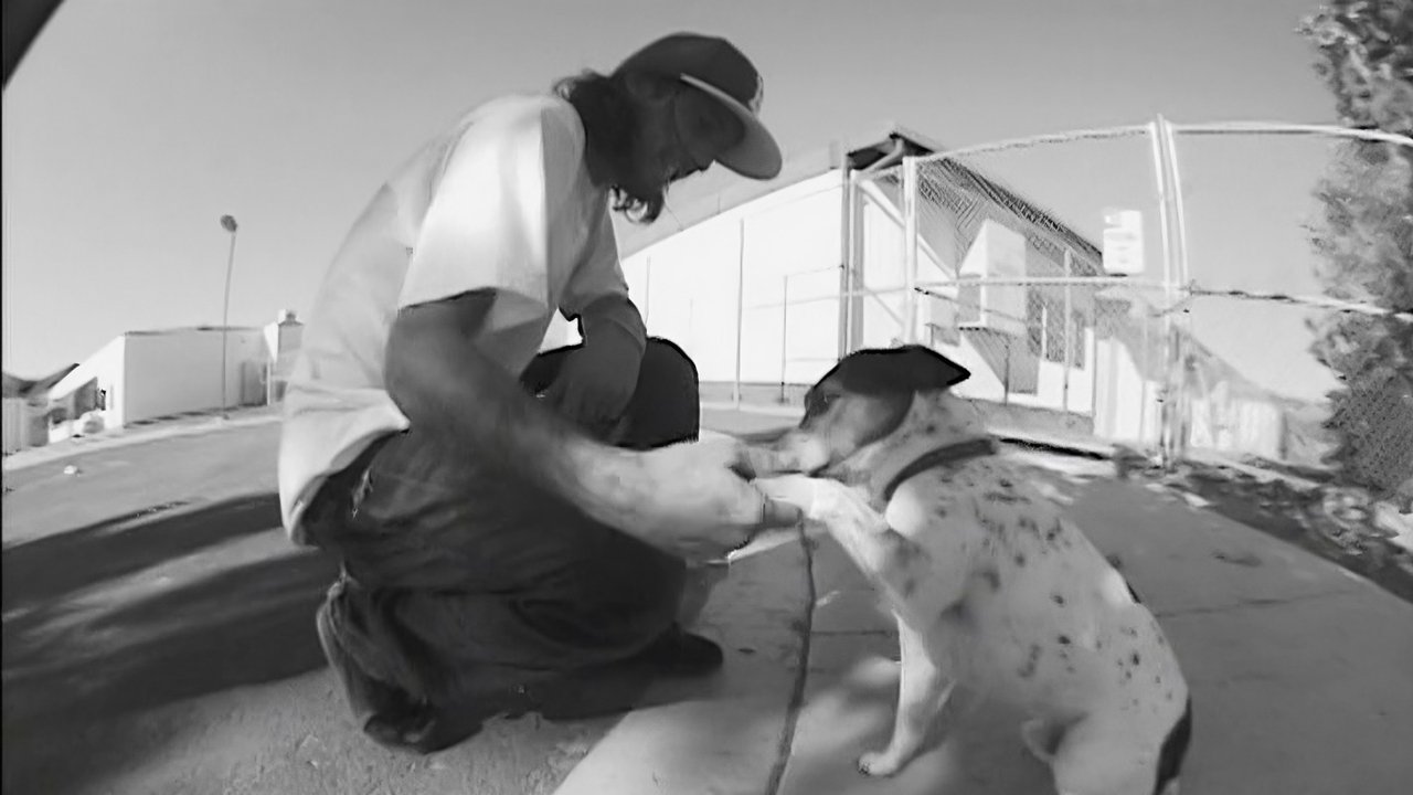 Mystery - Black & White backdrop