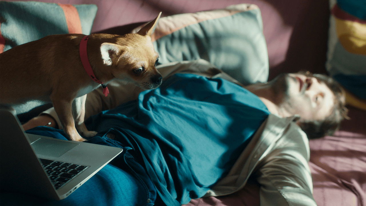 Dreams, Hopes and Rotating Dolphins backdrop