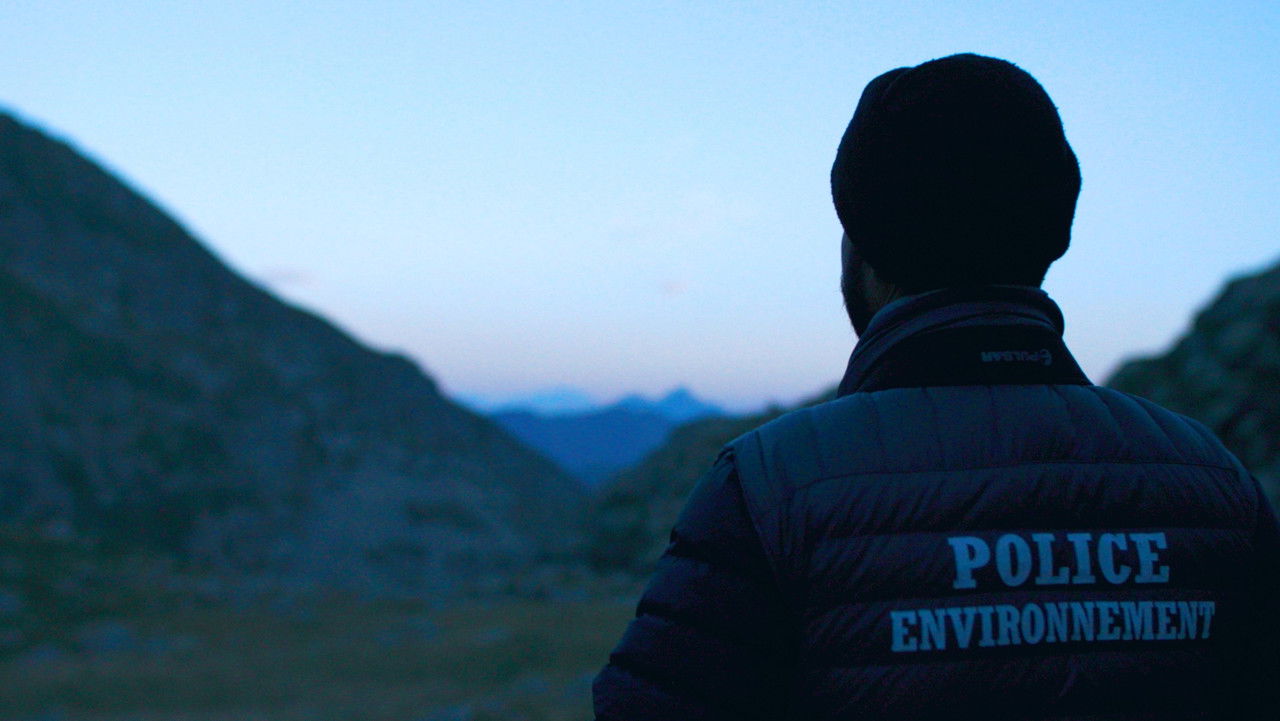 The Shepherd and the Bear backdrop