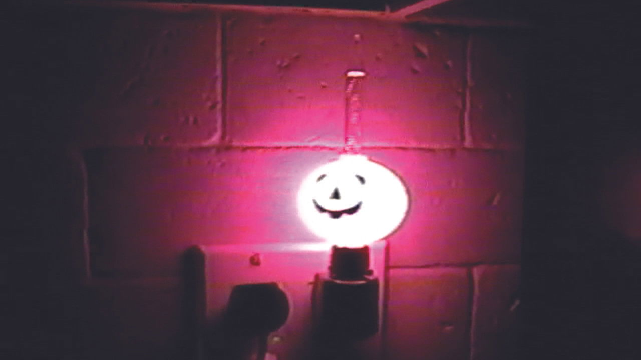 Space 11.16.23 backdrop