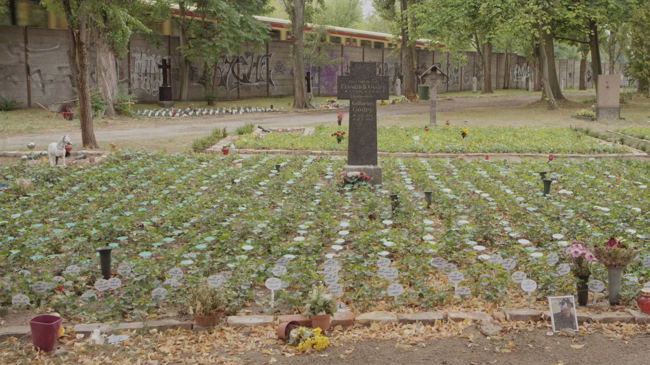 Going Alone backdrop