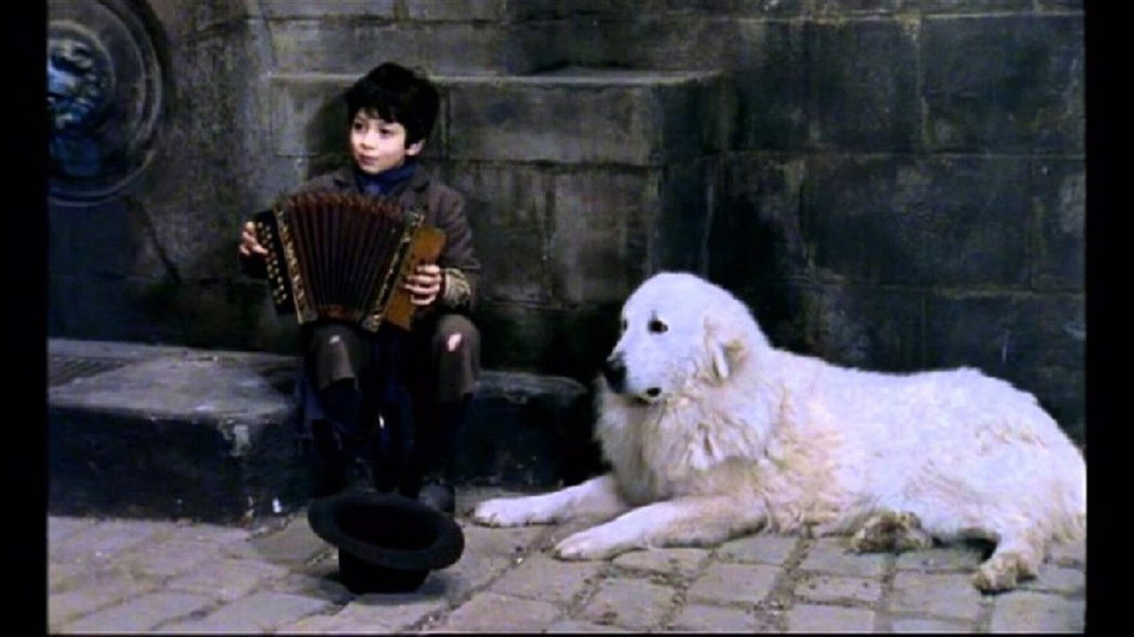 Sans famille backdrop